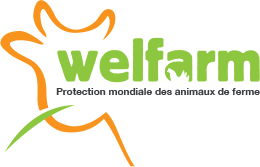 Logo Welfarm